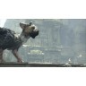 The Last Guardian (Останній зберігач) [PS4]