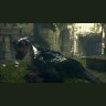 The Last Guardian (Останній зберігач) [PS4]