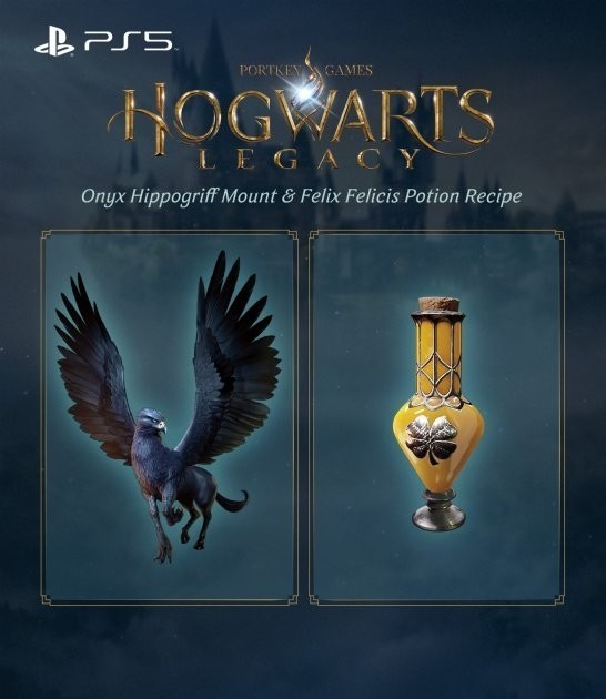 Hogwarts Legacy PS5 Hogwarts Legacy PS5