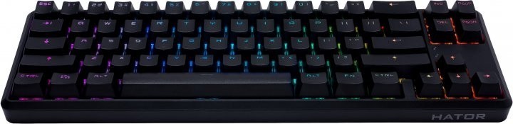 Клавиатура беcпроводная механическая HATOR Skyfall HEX ENG Gateron Clear (HTK-665) Black Клавиатура беcпроводная механическая HATOR Skyfall HEX ENG Gateron Clear (HTK-665) Black